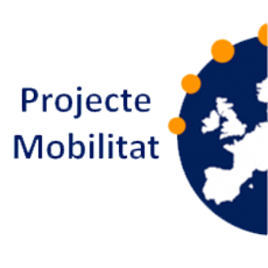 Proyecto de movilidad